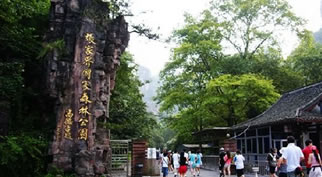 �żҽ����ɭ�ֹ�԰