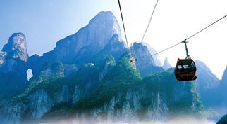 ����ɽ����ɭ�ֹ�԰